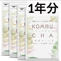 ビークレンズコンブチャ×チャコールクレンズ - メルカリ