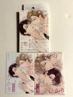 Item thumbnail for item c536ba54-0422-4ea6-a546-48c5cd4331d1