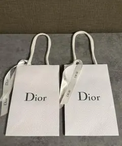 Dior ショッパー 2枚セット リボン付き