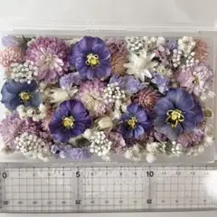 No.3花材色々ドライフラワーセット