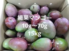 宮崎県産摘果マンゴー10㎏ - メルカリ