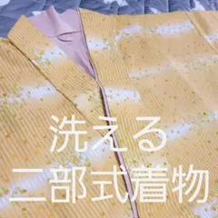 洗える 着物 二部式着物 セパレート