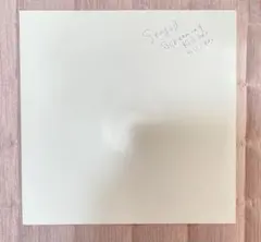 シーガルスクリーミングキスハーキスハー　10インチレコード