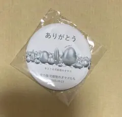 電力館　非売品バッジセット 大阪・関西万博 電力館 可能性のタマゴたち ピンバッジ - メルカリ