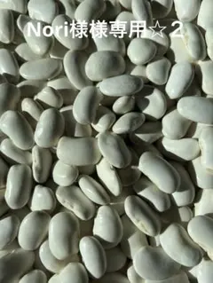 Nori様専用☆２