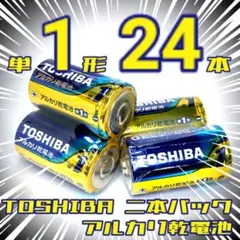Panasonic アルカリ乾電池 単3形 88本 - メルカリ