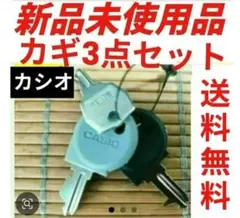 CASIO レジスター110E鍵 キー - メルカリ