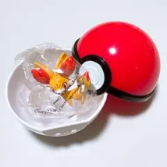 未開封 2013年 ポケモンゲットコレクションズ フォッコ