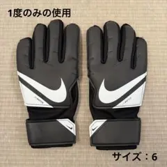 【美品】ナイキ キーパーグローブ ジュニア サイズ6