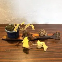 しょうゆ隊様 リクエスト 2点 まとめ商品