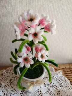 Item thumbnail for item cf273199-e672-4e97-9534-607732cfc62f