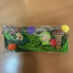 ガチャ詰め合わせポーチ　こびとづかん