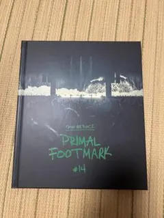 ONE OK ROCK PRIMAL FOOTMARK #14