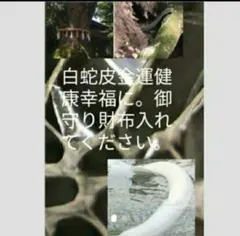 金命論⭐︎祈祷済 呪物 霊石 金運 宝くじ パワーストーン2本セット 