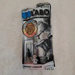 ☆ 신제품 ☆ 표본 LABO 곤충 표본 키트 딱정벌레 사슴벌레
