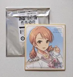 セイラキ様 リクエスト 2点 まとめ商品