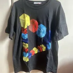 rockin'on ROCK IN JAPAN FES.2015 公式Tシャツ