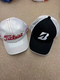 Item thumbnail for item 478fe32a-cfa0-4561-ae62-3d07424431d6