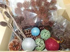 大王松の松ぼっくり他 木の実セット