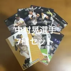 プロ野球チップスカード 中村晃選手 7種まとめセット(キラ1種、ノーマル6種)のサムネイル