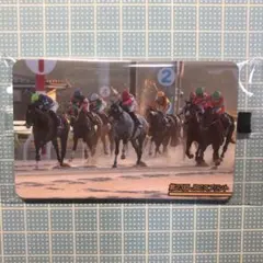 【全て未開封品】競馬 まねき馬倶楽部 カード 計39枚 全て未開封品】競馬 まねき馬倶楽部 カード 計39枚 全て未開封品】