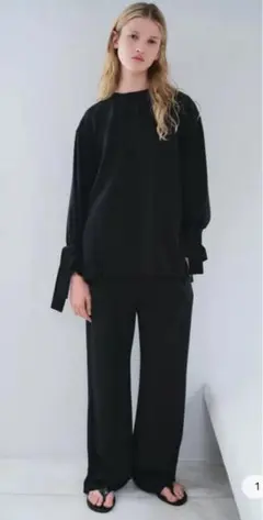 zaraセットアップ