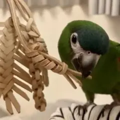 ナオミりり様 リクエスト 2点 まとめ商品