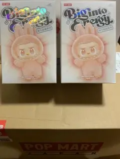 2025年最新】POPMart labubu シークレットの人気アイテム - メルカリ