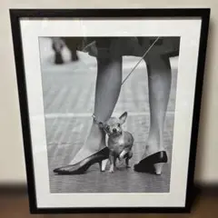 モノクロ犬と女性の足元フォトフレーム