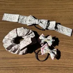 Item thumbnail for item f6887e2a-e33e-4c53-9f90-62acf35999de