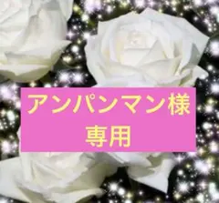 ❤️ アンパンマン様専用 オフホワイト～純白の丸弁抱咲き　大き目しっかり苗　　A