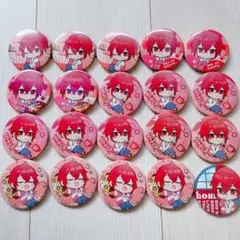 となりの坂田 さかわん 缶バッジ 等身 あほの坂田 浦島坂田船 80個 痛バ 坂田ライブ製作委員会 on X: 