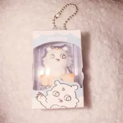 ちいかわ　チョコボックス　あのこ