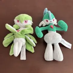 新品ポケモンぬいぐるみ エルレイド メガシンカ2点セット メガシンカポケモンぬいぐるみが発売！ メガリザードンXYほか10