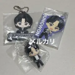 ENHYPEN JUNGWON ジョンウォン　キーホルダー　ラバスト　セット