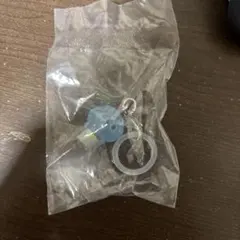 か*わ様 JOCHUM めじるしアクセサリー マイクン