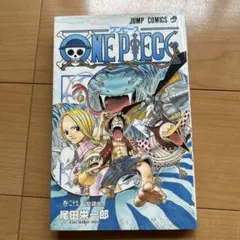 ONE PIECE 29