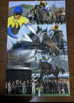 競馬ポスターB2:ディープインパクト 4枚セット パネル付き 2025年最新】ディープインパクト ポスターの人気アイテム - メルカリ