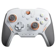 BIGBIG WON BLITZ2 TMR ・ プロフリーク V2 Cheeky