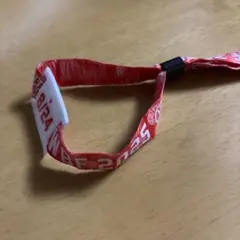 WBF ワイルドバンチ 2025 リストバンド 50周年