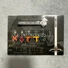 プレミア】KAT-TUN 2005 Looking ライブグッツ - メルカリ