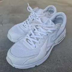 Item thumbnail for item 85dd3510-0908-4f10-9650-3fe192ebba44