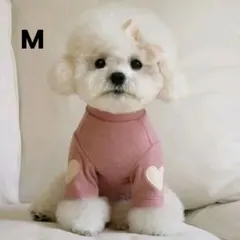 Item thumbnail for item ea2260b9-cac4-429e-974e-6fb8979859eb