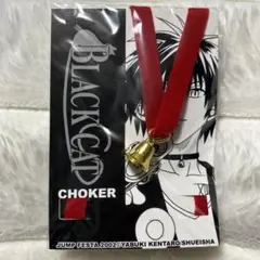 貴重　BLACK CAT　チョーカー