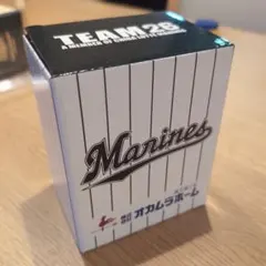 千葉ロッテマリーンズ 種市篤暉選手 ボブルヘッド