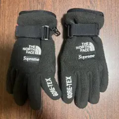 THE NORTH FACE Supreme GORE-TEX手袋