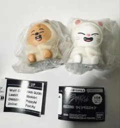 SKZOO ライトマスコット 2体セット