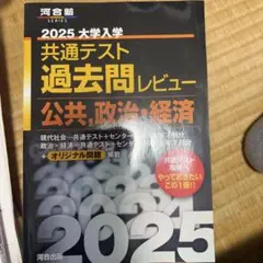 公共、政治・経済 共通テスト過去問レビュー(2025 大学入学用)