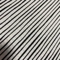 ❤️様ご専用　Quirky Bias Stripe W/B110×45