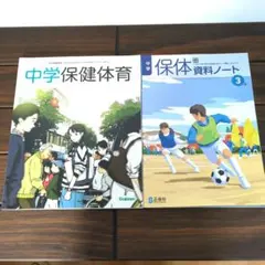 Item thumbnail for item 8fbd97fe-cae2-4ef5-bbb4-6836d5ddca57